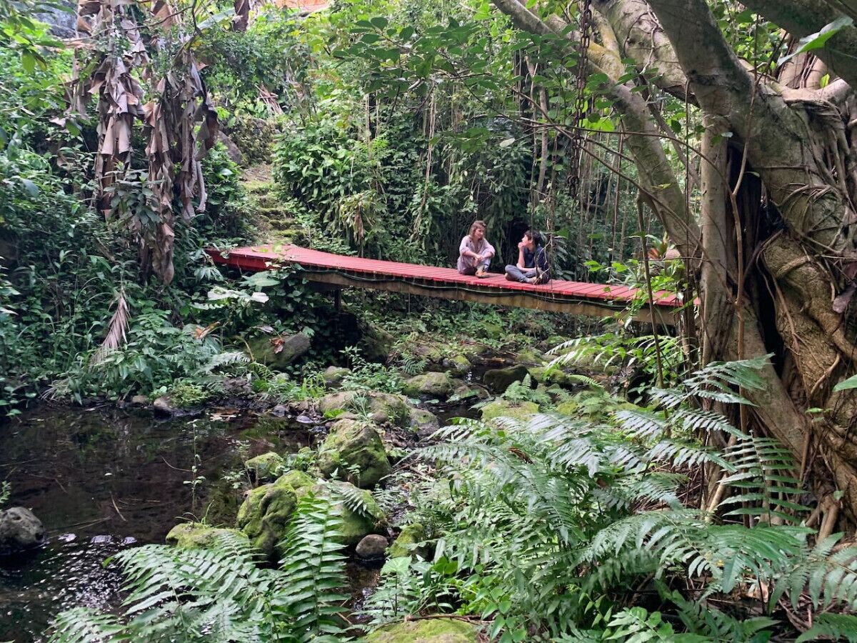 Un puente rojo sobre un arroyo en un área boscosa con follaje denso y el tronco de un árbol a la derecha.