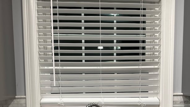 A kitchen with a double sink, a window with blinds, and potted plants.