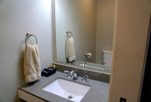 Shower, hair dryer - Country Suite I w/Breakfast (Mount Joy)