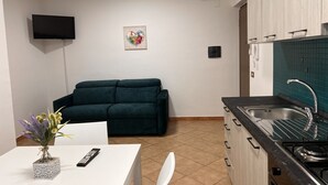 Eine kleine Küche mit integriertem Herd, Spüle und einer türkisblauen Spritzschutzwand. Ein dunkelgrünes Sofa steht an der Wand, darüber ist ein Flachbildfernseher angebracht.