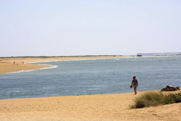 A beach with a person walking along the shore, a sandy beach, and a calm sea.