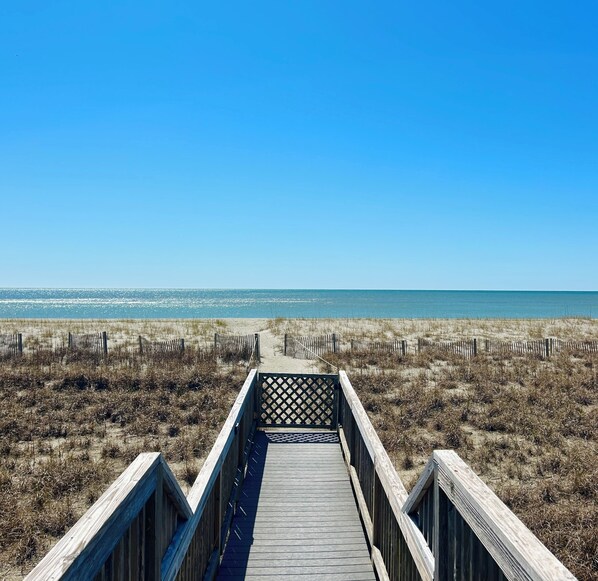 On the beach - Newly remodeled oceanfront, 4 bedroom, 4 bathroom, Dog friendly home w/ Elevator (Supply)