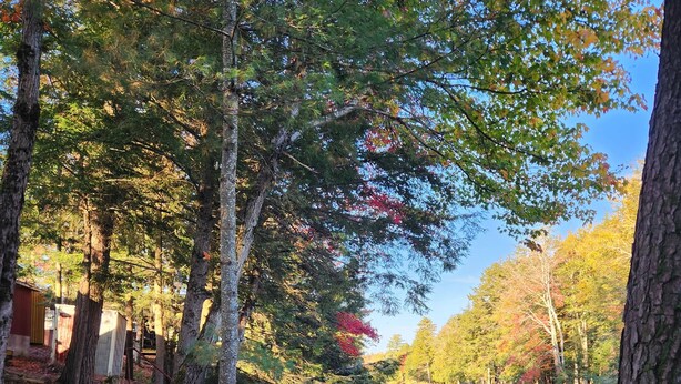 A wooden dock extending into a calm lake surrounded by trees with autumn foliage.