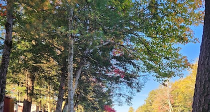 Adirondack Cabin Retreat On West Branch of the Oswegatchie River!