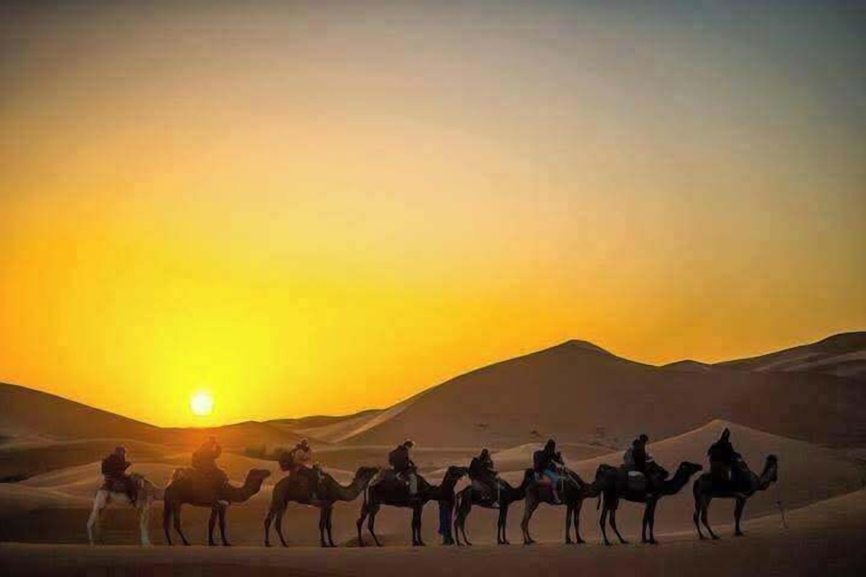 A group of people riding camels in a desert landscape during sunset.