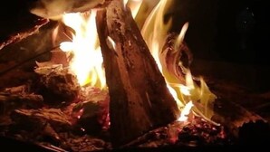 Primer plano de un fuego con troncos y llamas.
