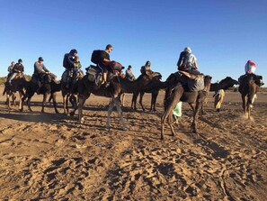 Front of property - Overnight Camp Merzouga & Camel Tours (Taouz)
