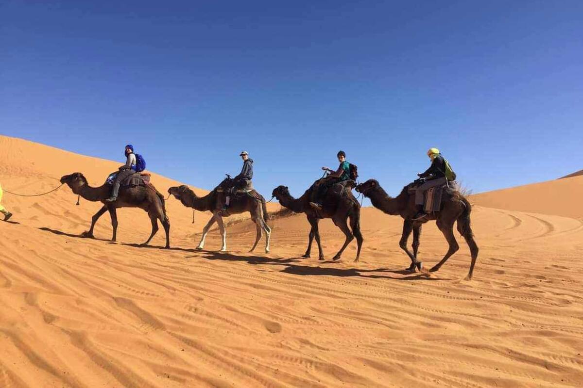 Four people riding camels across a sandy desert landscape.