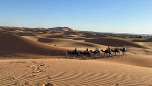 Paisaje desértico con dunas de arena y camellos.