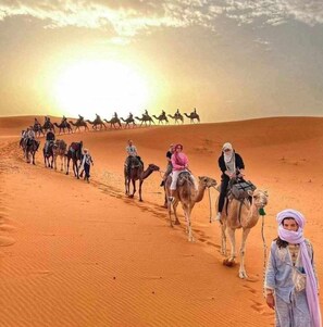 Front of property - Overnight Camp Merzouga & Camel Tours (Taouz)