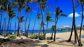 A beach with palm trees, a clear blue sky, and a view of the ocean.