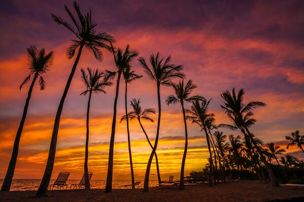 Playa en los alrededores
