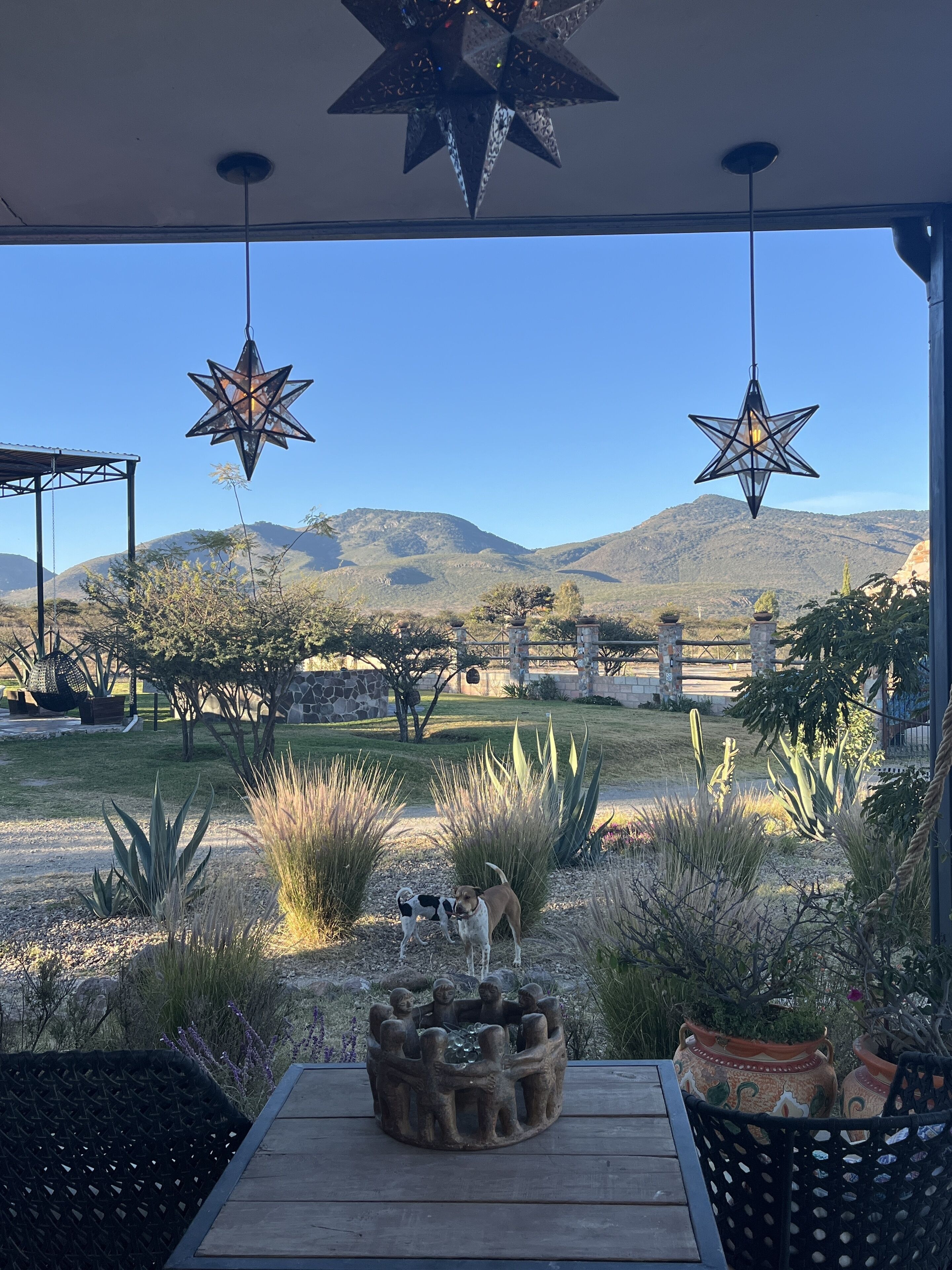 マウンテン ビュー