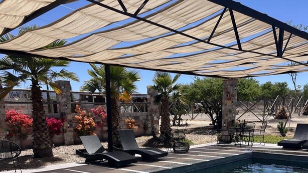 A pool area with lounge chairs and a patterned floor, surrounded by palm trees and a stone wall. - Casa Pavo Real en Viñedo El Pavo Real (San Miguel de Allende)