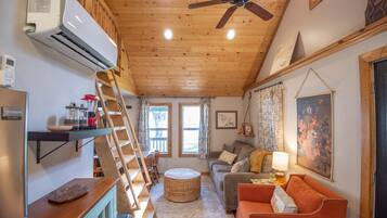 智能電視、壁爐、書籍