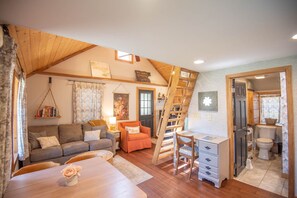 TV connectée, cheminée, livres