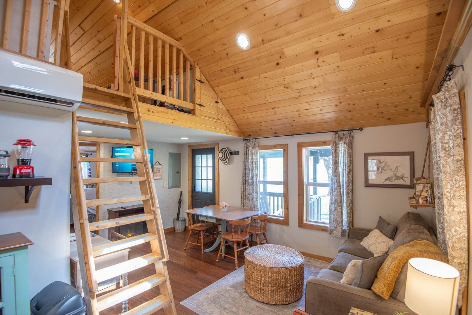 TV connectée, cheminée, livres