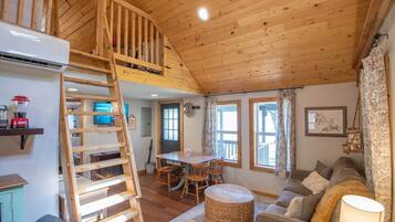 TV connectée, cheminée, livres