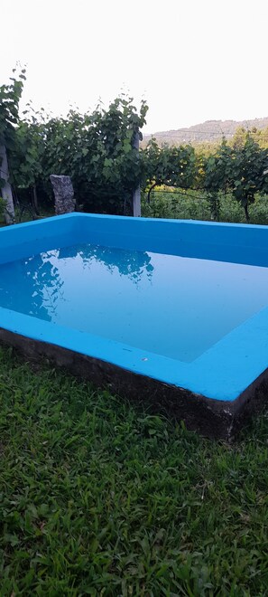 Pool - Holiday Home 'Casa Do Soutinho' with Mountain View, Private Terrace and Air Conditioning (Gondufe)