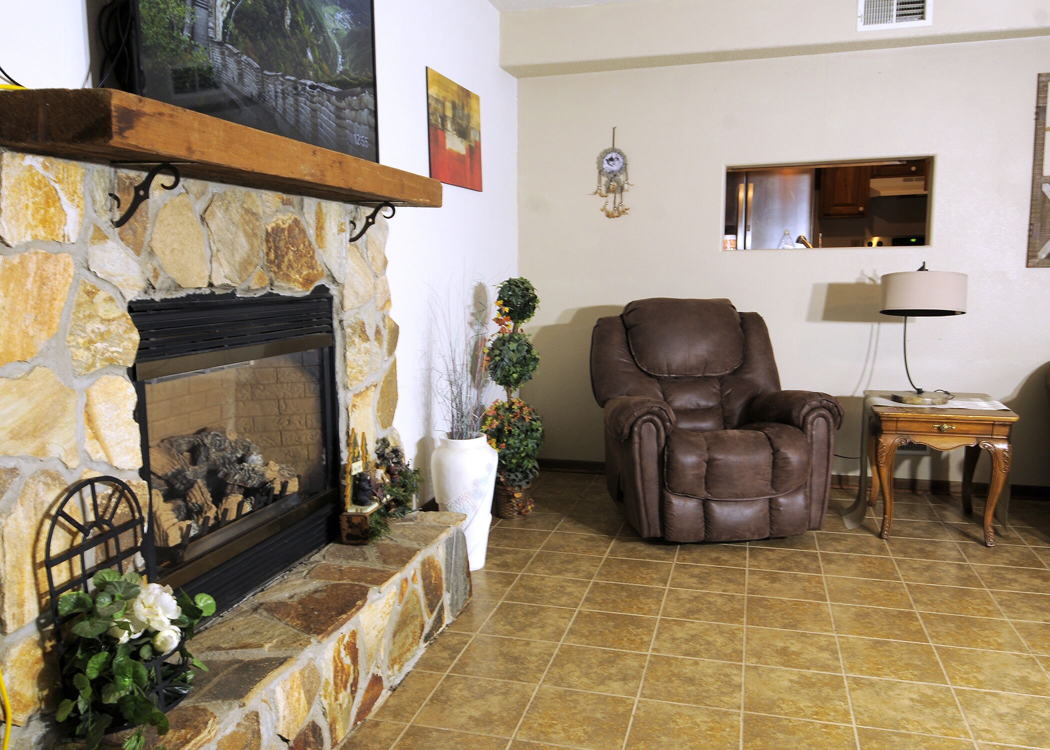 Smart TV, chimenea, libros y estéreo 