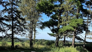 Un espace extérieur aménagé avec quatre chaises et une table en bois, entouré d’herbe et d’arbres.