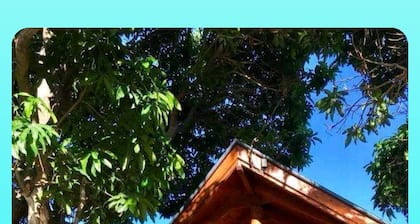Magical tree house.Close to beach, walks, restaurants.Abundance of nature