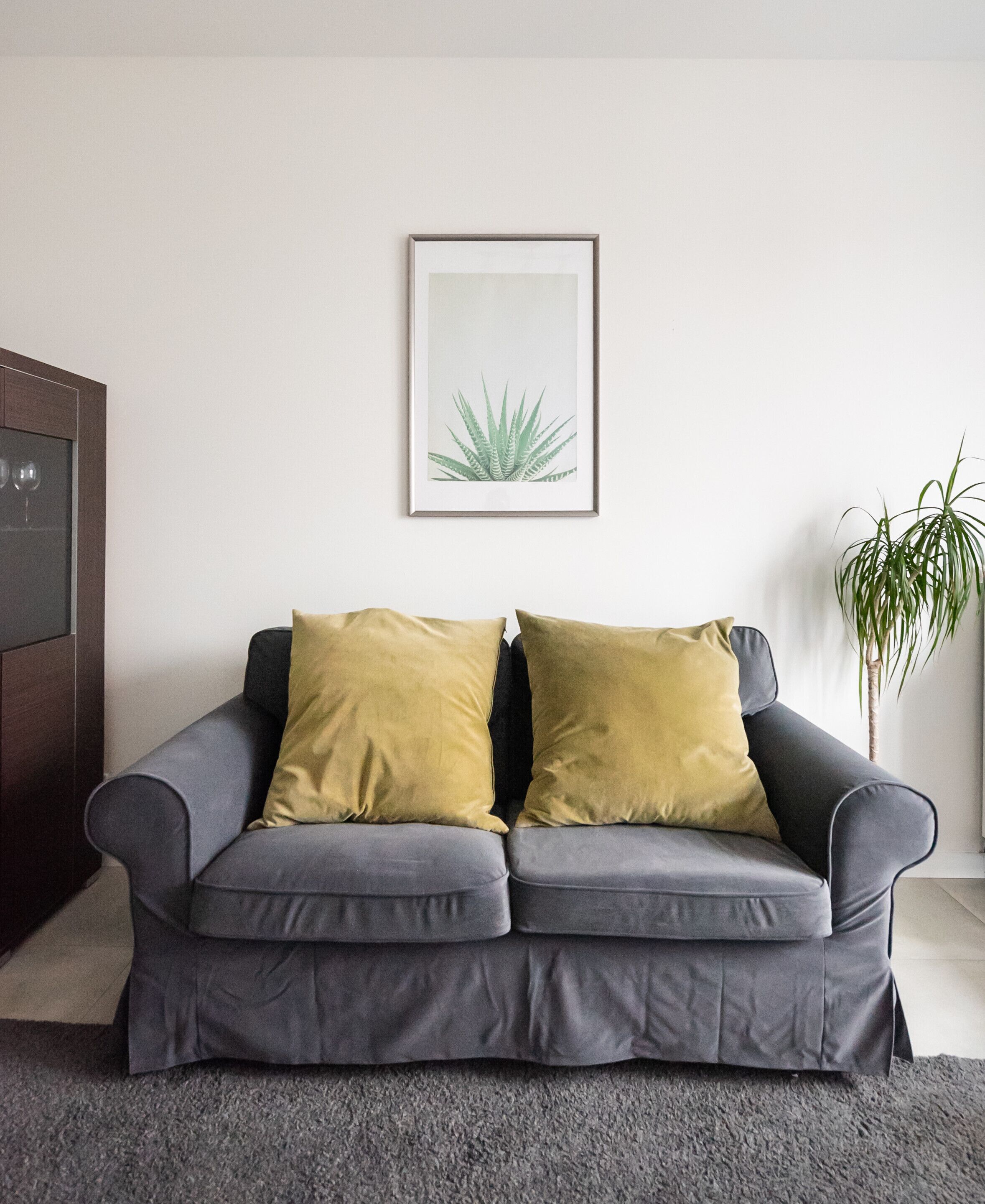 A grey sofa with two mustard-colored cushions, a framed plant on the wall, and a tall plant to the right.