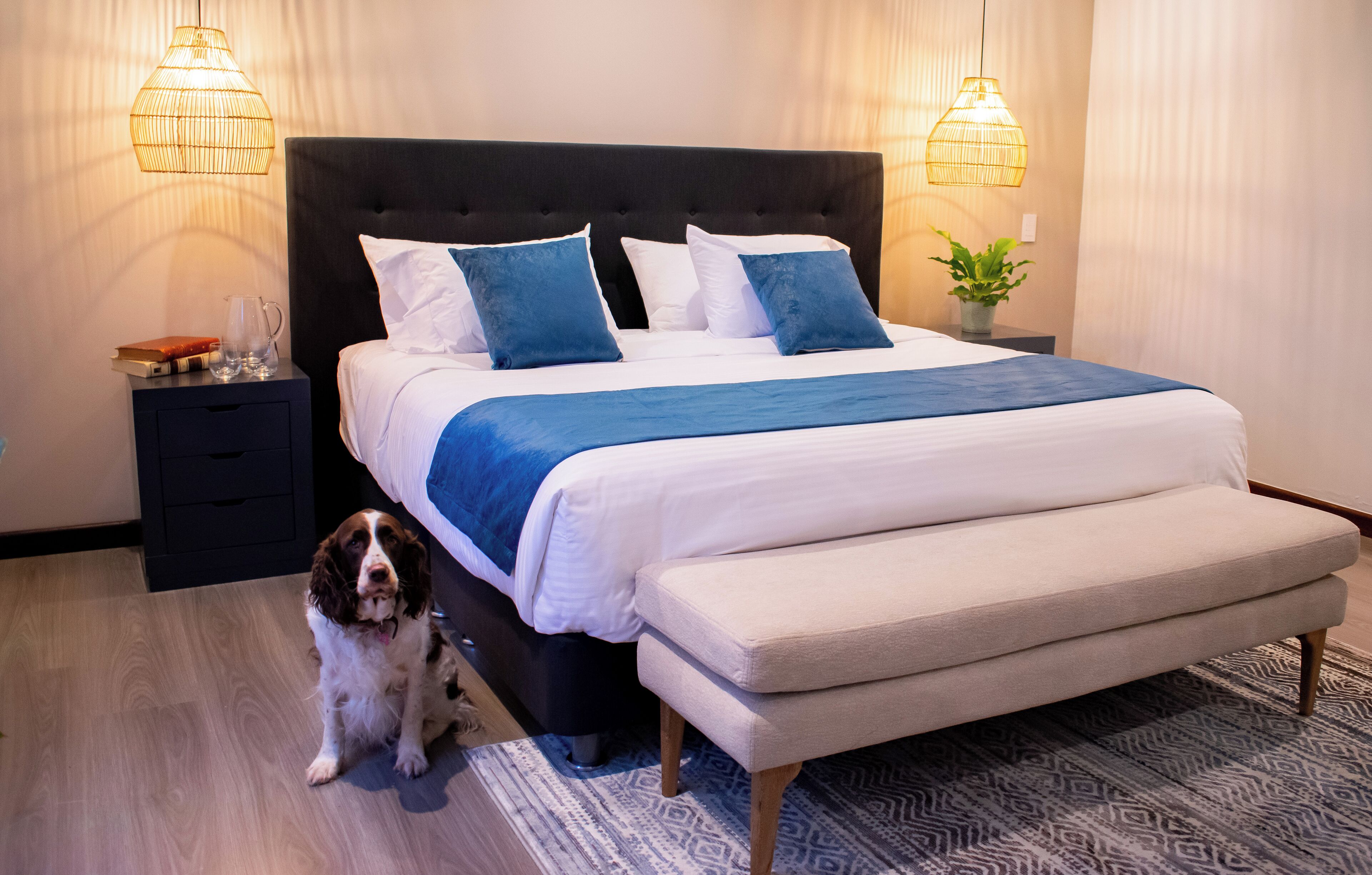Una cama bien tendida con un detalle en azul, una mesita de noche con una lámpara y un perro sentado junto a la cama.
