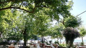 Un espacio al aire libre con mesas y sillas, rodeado de árboles y vistas al mar.