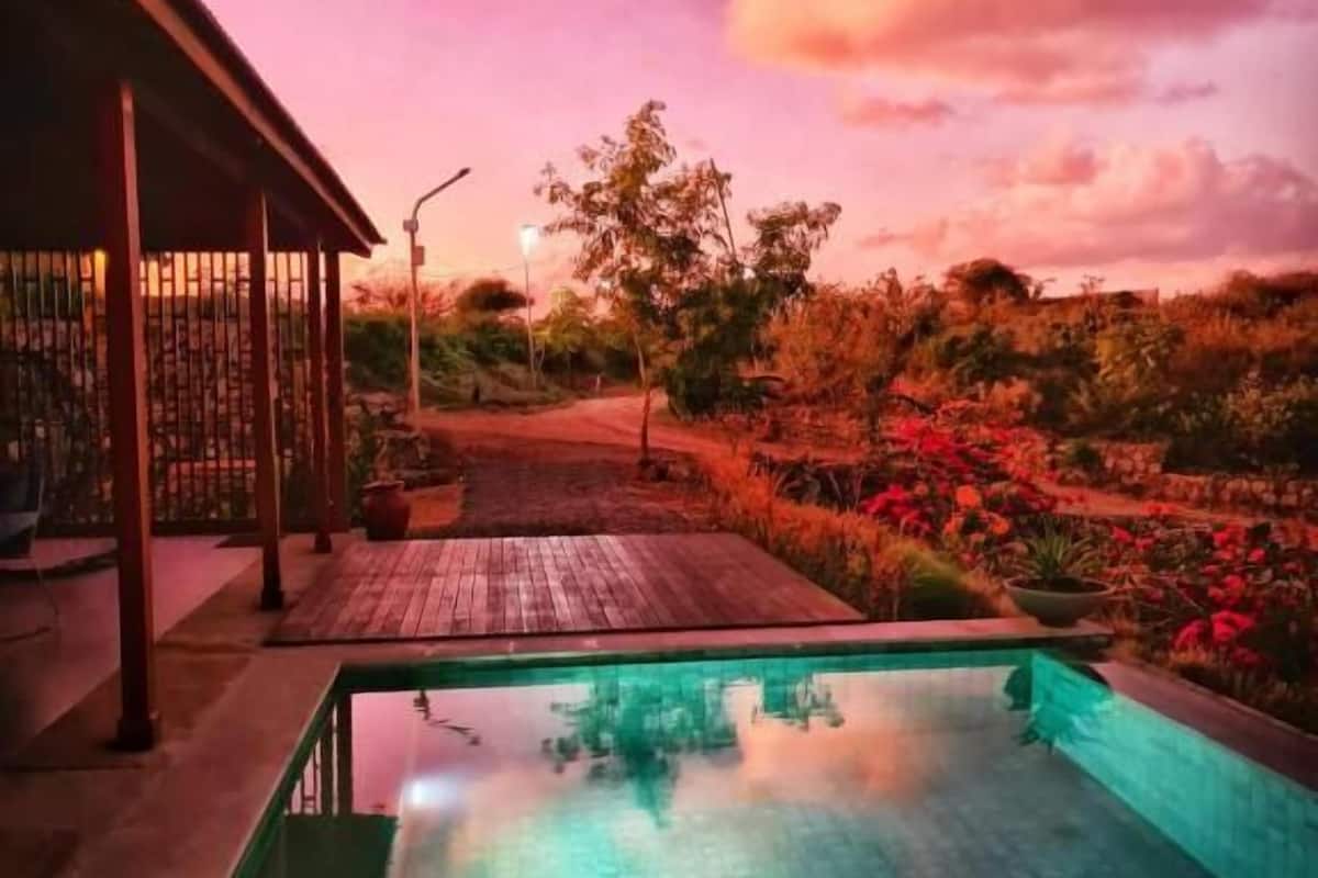 Ein Pool mit Holzterrasse und überdachtem Bereich, umgeben von üppiger Vegetation und einem Abendhimmel.