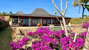 A modern house with a large glass facade, a stone pool, and vibrant bougainvillea flowers. - Lobster Bay Resort  (Mertak)