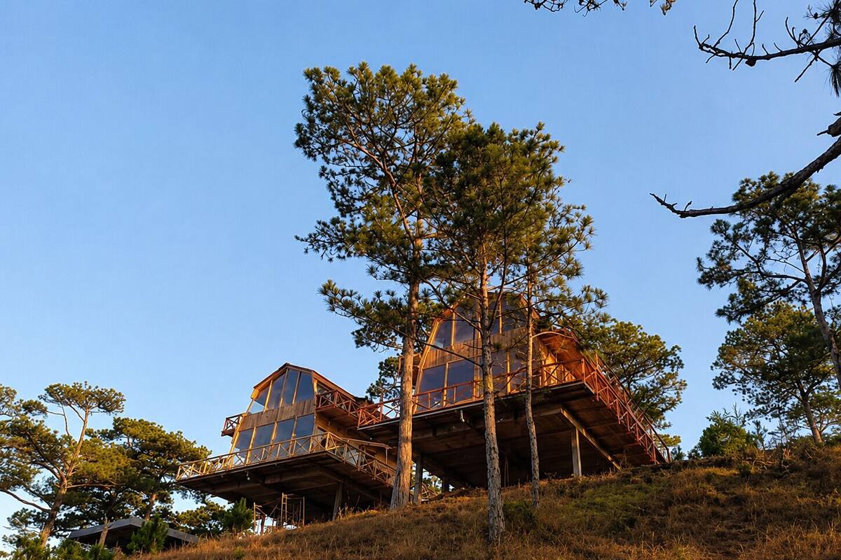 Une structure en forme de cabane dans les arbres, composée de plusieurs niveaux, soutenue par des arbres et entourée d’un paysage verdoyant.