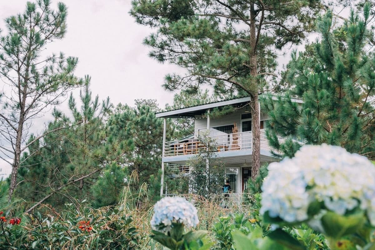 Un bâtiment à deux étages, entouré de pins et d’hortensias.
