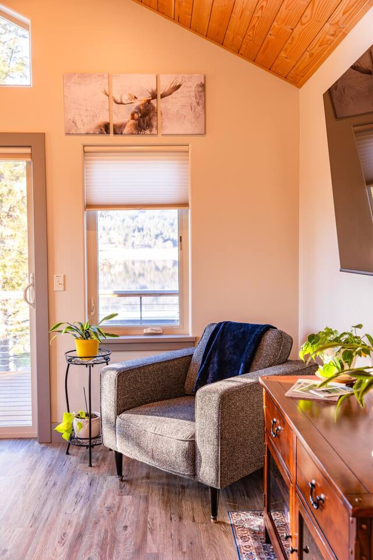 スマートテレビ、書庫