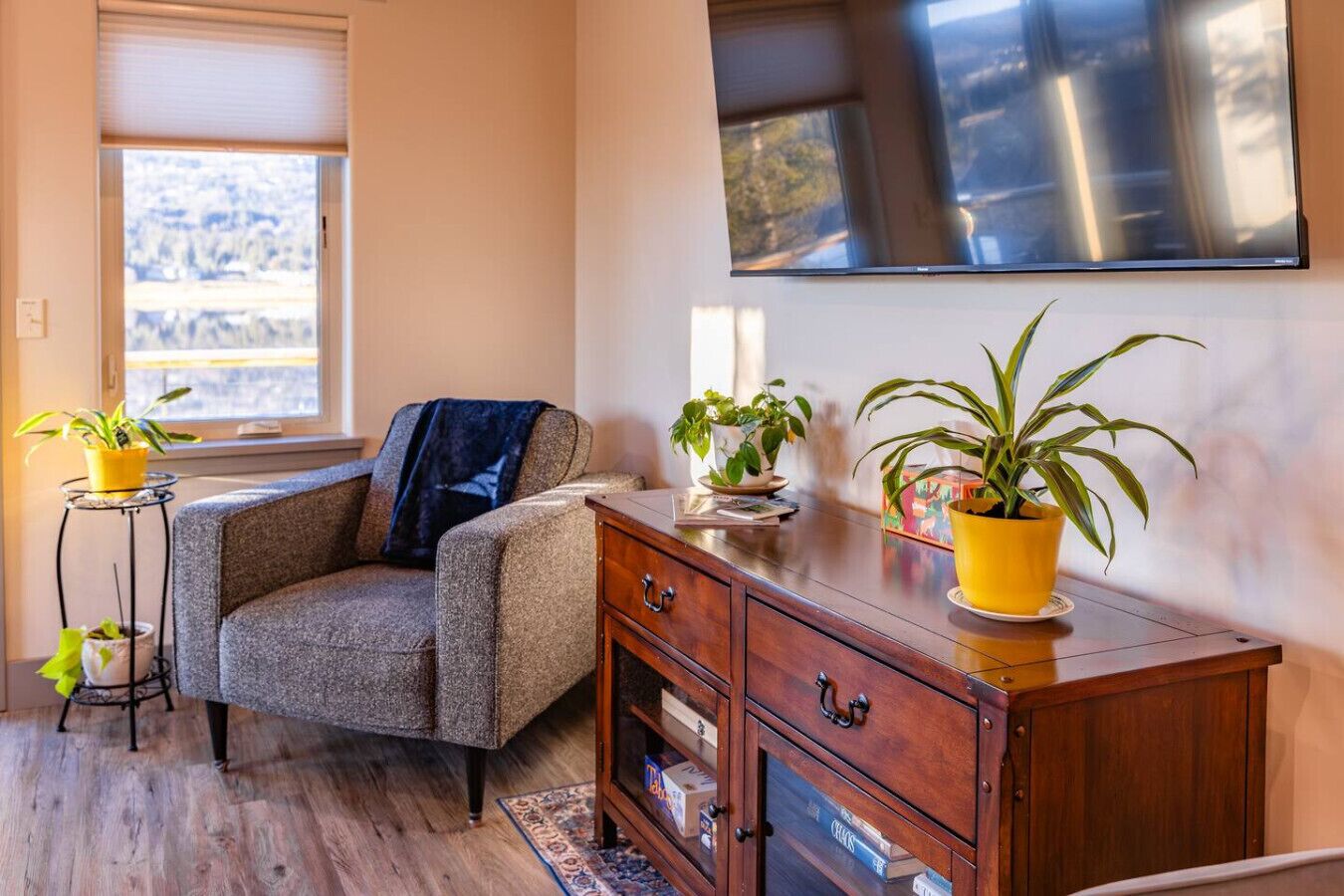 スマートテレビ、書庫