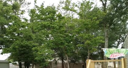 Only10 minute walk to the Inland side of Sound, 3 mile Emerald Isle Beach,Pets