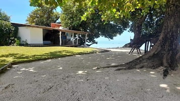 Trädgård