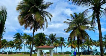 Sand Dollar Beachfront Condo! New upgrades, steps from the beach! Paradise!