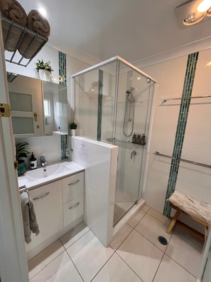 Shower, hair dryer, towels, soap