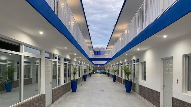 Un pasillo con tragaluces, plantas en macetas y fachada de edificio moderna.
