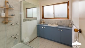 Shower, hair dryer