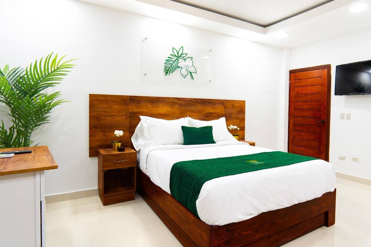 A neatly arranged hotel room with a wooden bed, a bedside table, a TV mounted on the wall, and a large potted plant.