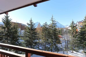 Property grounds - Studio 4 ppl, balcony, near the ski station (Les Deux Alpes)