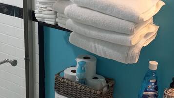 Hair dryer, bidet, towels, soap