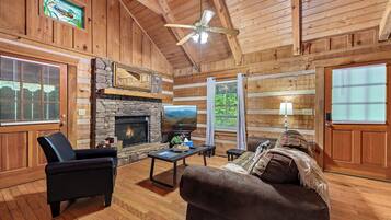 Smart TV, fireplace, books