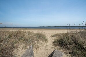Nära stranden