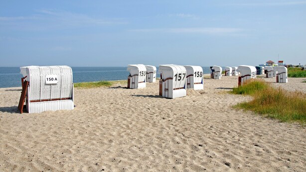 Cadeiras de praia numeradas 150A, 157, 158 e 159 alinhadas numa praia arenosa, com o oceano ao fundo.