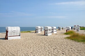 Beach chairs numbered 150A, 157, 158, and 159 lined up on a sandy beach with the ocean in the background.