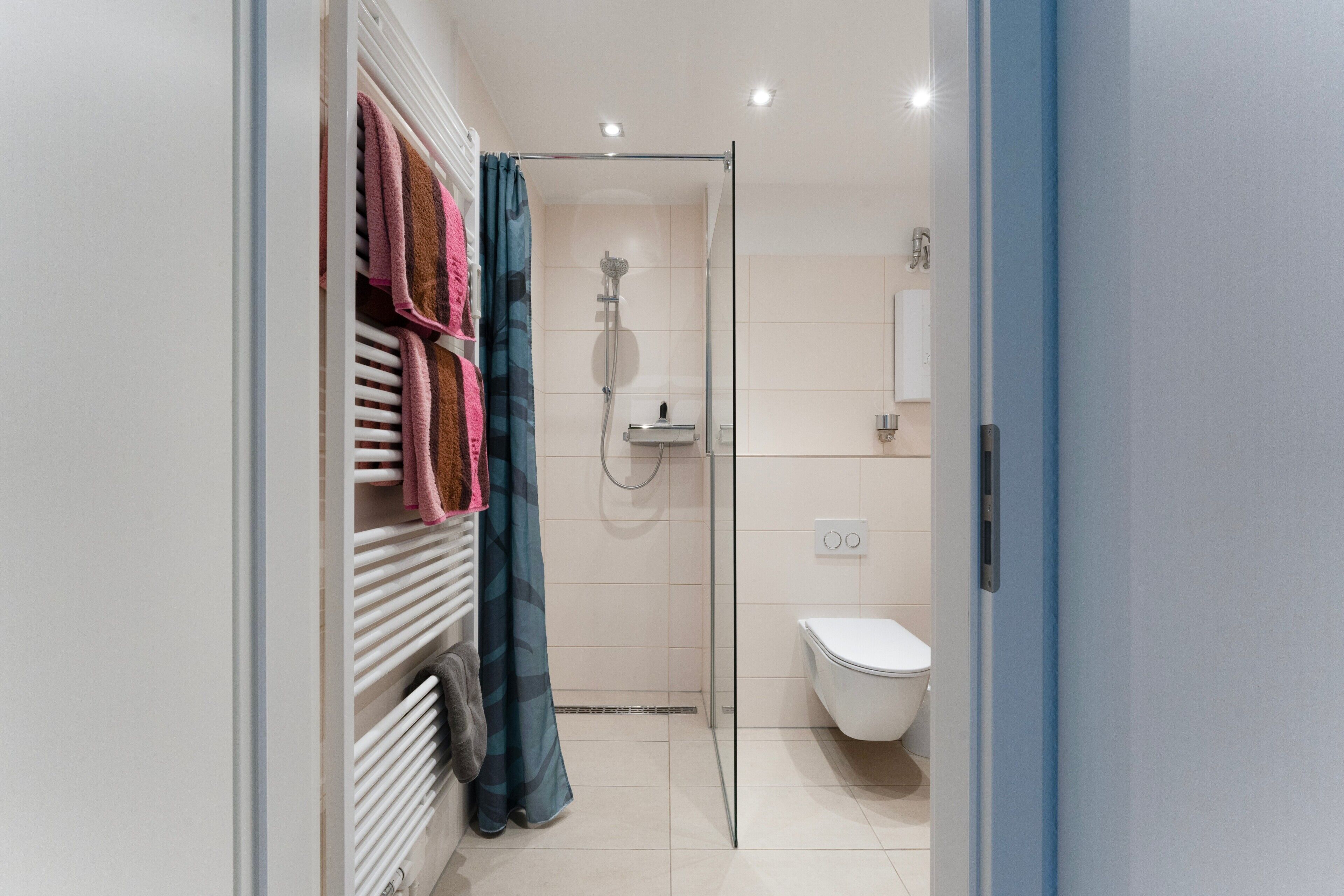 Une salle de bain avec douche, toilettes et porte-serviettes.