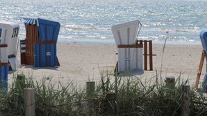 Sillas de playa alineadas en una playa arenosa, con el océano al fondo.